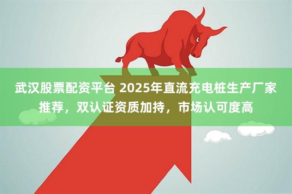 武汉股票配资平台 2025年直流充电桩生产厂家推荐，双认证资质加持，市场认可度高