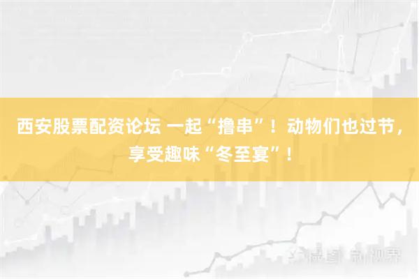 西安股票配资论坛 一起“撸串”！动物们也过节，享受趣味“冬至宴”！